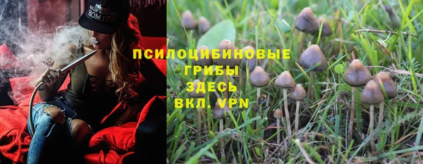 прущая мука Пересвет