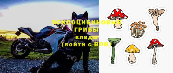 ECSTASY Пестово