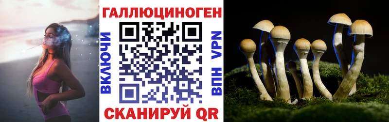 ОМГ ОМГ зеркало Курлово Галлюциногенные грибы MAGIC MUSHROOMS наркота